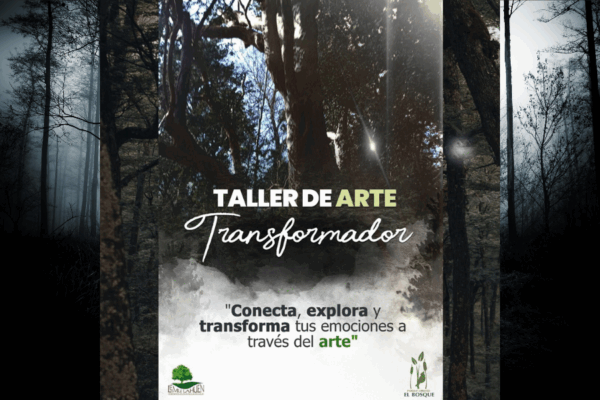 Diseño sin título (2)