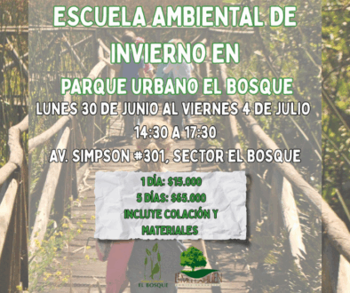 Diseño sin título (3)