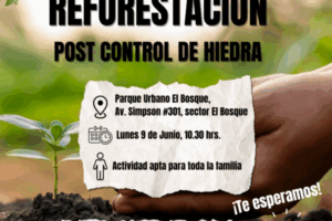 Reforestar