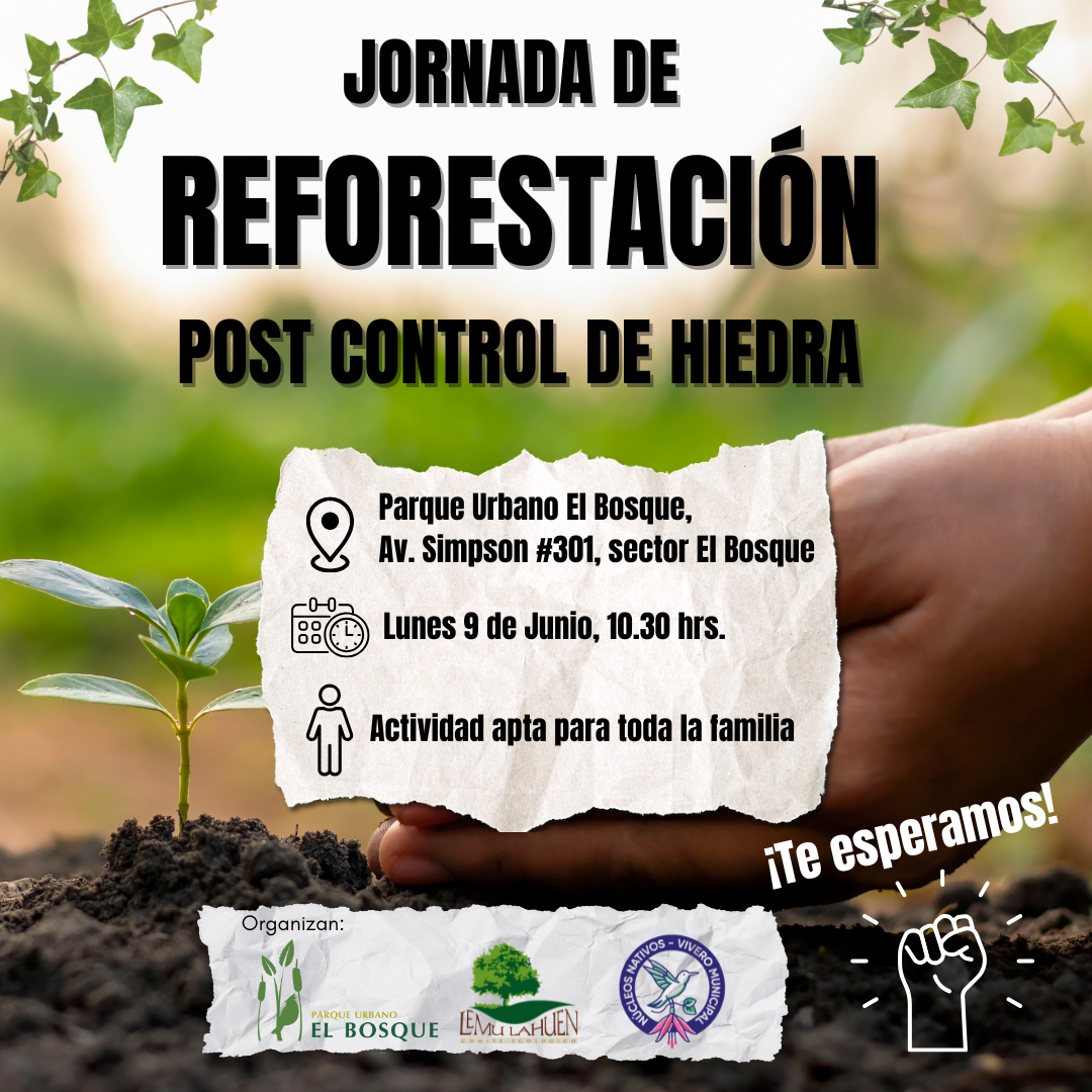 Reforestar