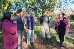 WhatsApp Image 2025-06-05 at 13.31.09