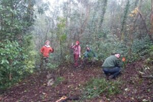 WhatsApp Image 2025-06-09 at 11.52.42