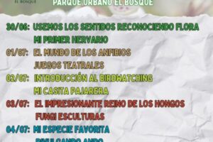 WhatsApp Image 2025-06-12 at 16.27.33 (1)