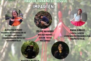 WhatsApp Image 2025-06-12 at 16.27.33 (2)