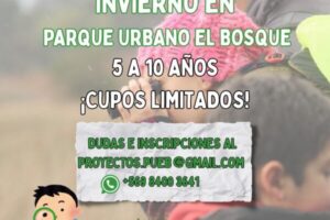 WhatsApp Image 2025-06-12 at 16.27.33 (3)